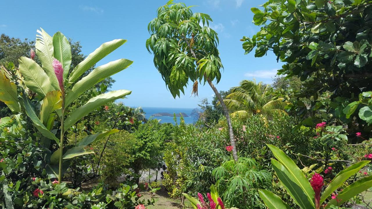 Vacances Bien Etre Guadeloupe บูญองต์ ภายนอก รูปภาพ
