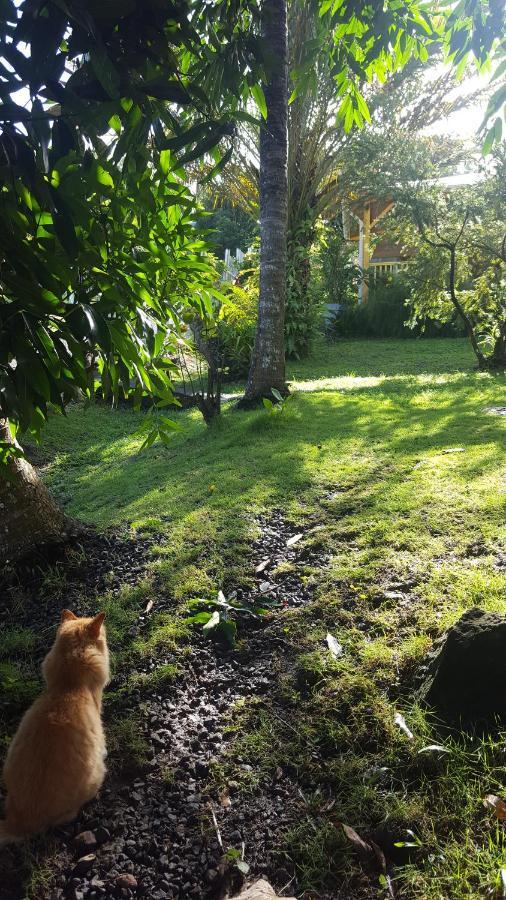 Vacances Bien Etre Guadeloupe บูญองต์ ภายนอก รูปภาพ